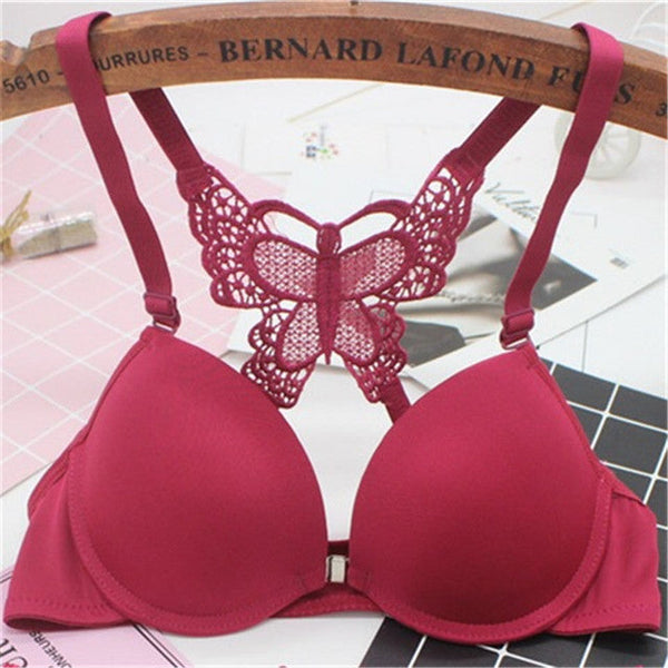 Butterfly - Fun Night Padded Bra Maroon - Ownz.Top